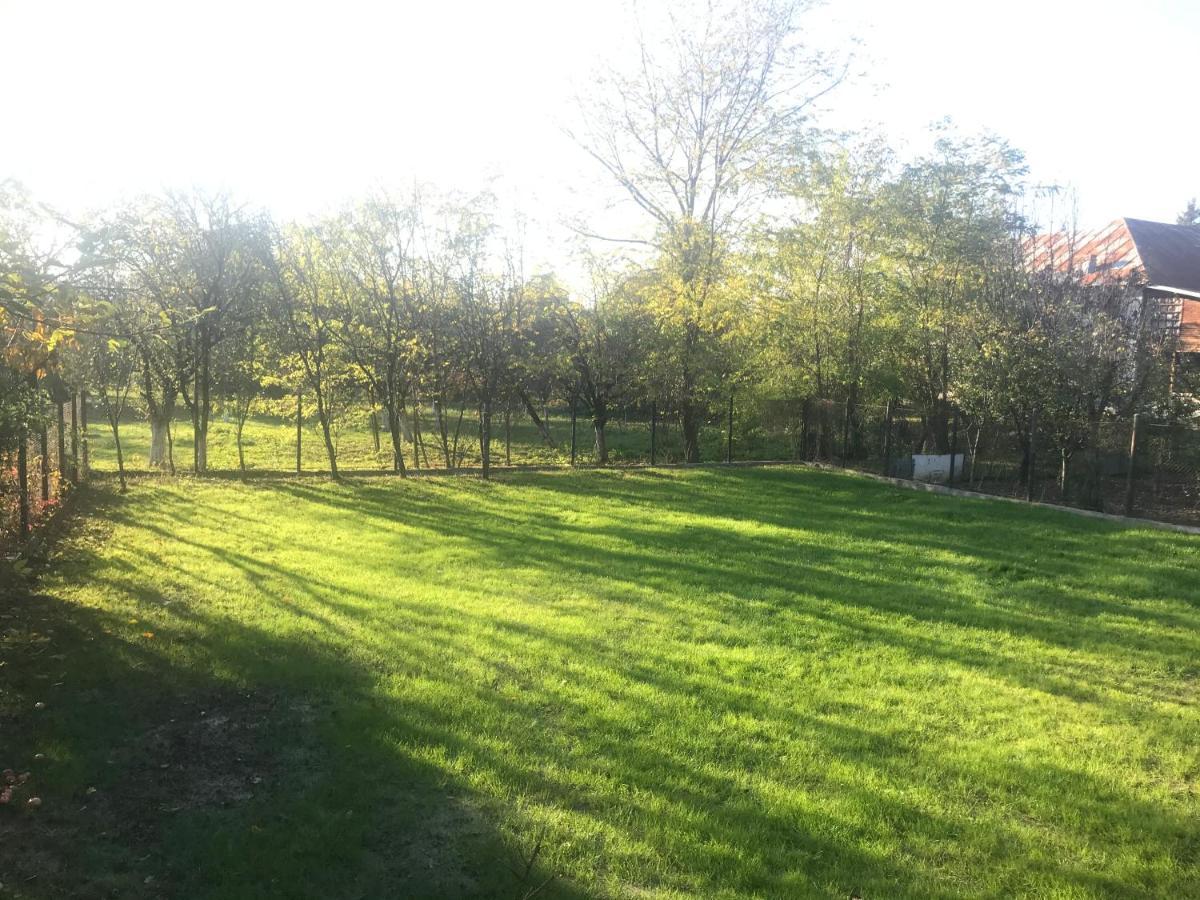 Green Nest Băneşti Buitenkant foto