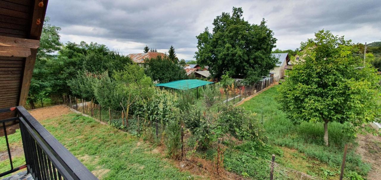 Green Nest Băneşti Buitenkant foto